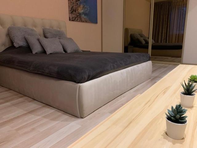 Oak Lounge Lux Apartment Riga Kültér fotó