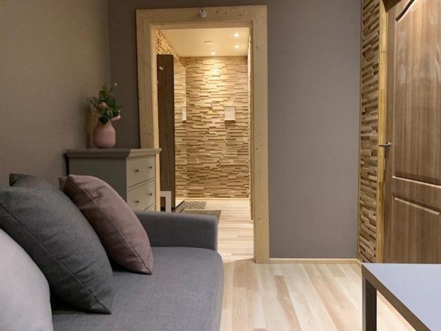 Oak Lounge Lux Apartment Riga Kültér fotó